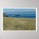 Sea Grassland Print