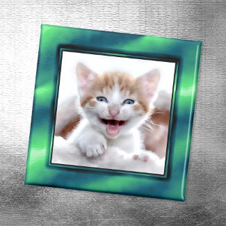 Sea Green Photo Frame Magnet magnet