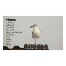 Sea Gull Business Card