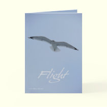 Sea Gull Flight cards by MoiraAshleigh Sea Gull Flight cards