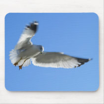 Sea gull in flight mousepads