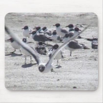 Sea Gull Mousepad