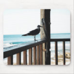 Sea Gull on Blue Lagoon Mouse Pads