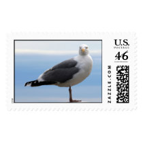 Sea Gull postage by TDSwhite Sea Gull postage