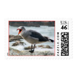 Sea Gull Stamps