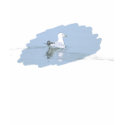 Sea Gull T-Shirt