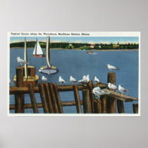 Sea Gulls and Sailboats Along the Waterfront Print