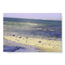 Sea Gulls and the tide posters by mvlosh Sea Gulls and the tide posters