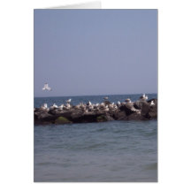 Sea Gulls Card