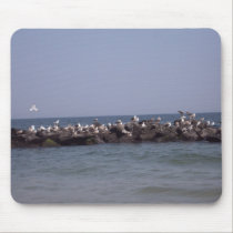 Sea Gulls mousepads