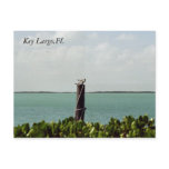Sea Gulls Postcard