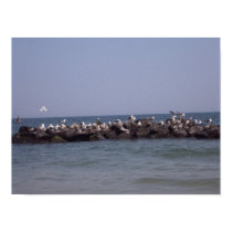 Sea Gulls posters by bonfirenature Sea Gulls posters