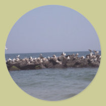 Sea Gulls stickers