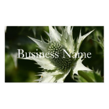Sea Holly  Business Card