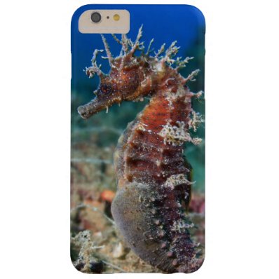 Sea Horse | Hippocampus Ramulosus Barely There iPhone 6 Plus Case