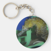 Sea Horse Key Chains