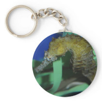 Sea Horse Key Chains