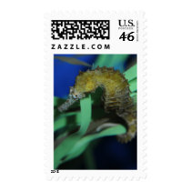 Sea Horse Postage