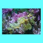Sea Horse posters
