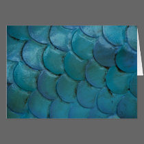 Sea-Horse Scales Card cards