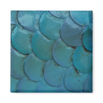 Sea-Horse Scales Magnet