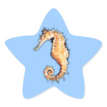 Sea horse stickers