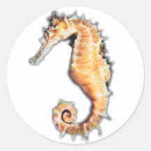 Sea horse stickers