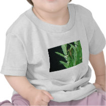 sea horse with plants tee shirts
