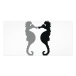 sea horses icon picture card