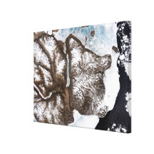 Sea ice lines the shoreline in eastern Greenlan Canvas Prints