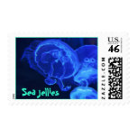Sea Jellies Postage Stamp
