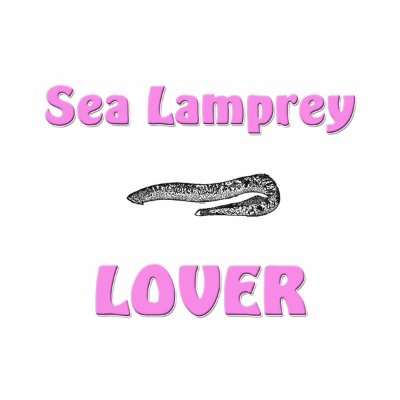 lamprey eel