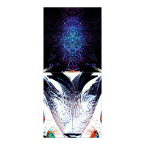 Sea Life 5 posters