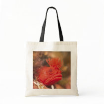 Sea Life - Fish bags