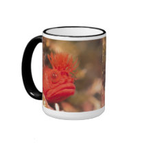 Sea Life - Fish mugs by MuseMagic Sea Life - Fish mugs