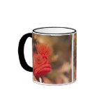 Sea Life - Fish mugs