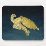 Sea Life - Octopus Mouse Pads