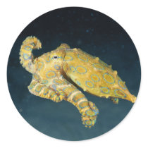 Sea Life - Octopus stickers by MuseMagic Sea Life - Octopus stickers