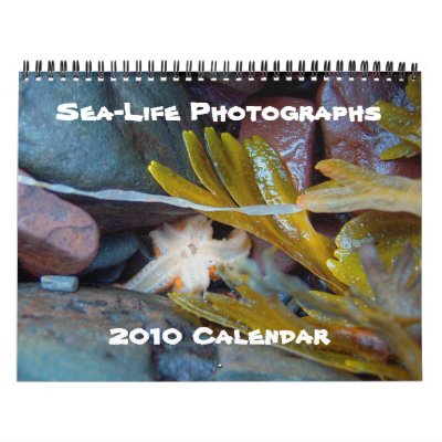 Sea-Life Photographs, 2010 Calendar