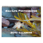 Sea-Life Photographs, 2010 Calendar