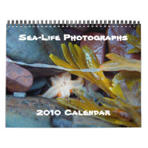 Sea-Life Photographs, 2010 Calendar