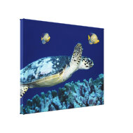 Sea Life - Sea Turtle 2 wrappedcanvas