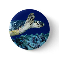 Sea Life - Sea Turtle buttons by MuseMagic Sea Life - Sea Turtle buttons