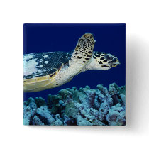 Sea Life - Sea Turtle buttons by MuseMagic Sea Life - Sea Turtle buttons