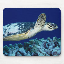 Sea Life - Sea Turtle mousepads by MuseMagic Sea Life - Sea Turtle mousepads