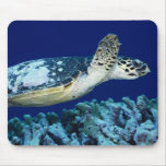 Sea Life - Sea Turtle Mousepads