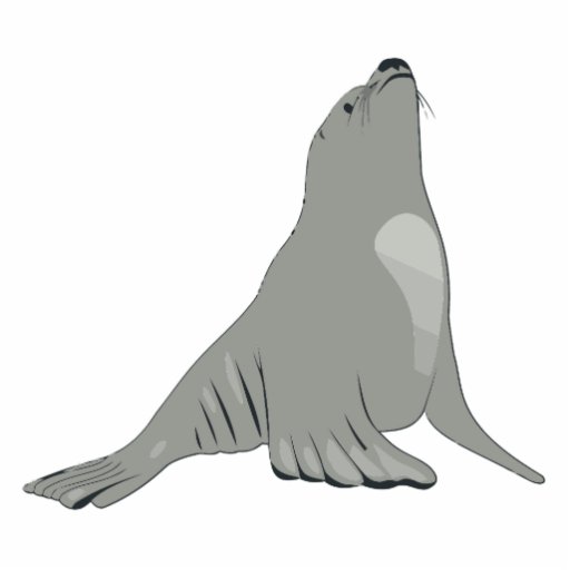 Sea Lion Acrylic Cut Out 