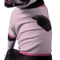 Sea Lion pet clothing