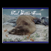 Sea Lion - Feel Better Soon - Postcard postcards