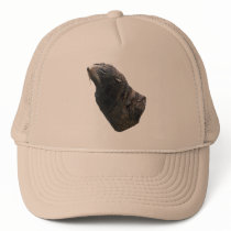 Sea Lion hats